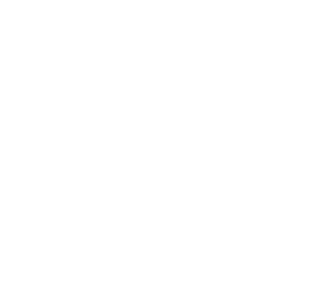 Private Limousine Services Logo